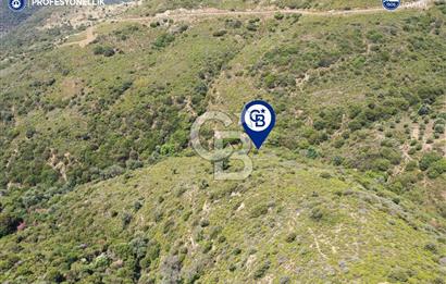 Karaburun Sarpıncık'ta 10.125 m² Tarla