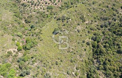 Karaburun Sarpıncık'ta 10.125 m² Tarla