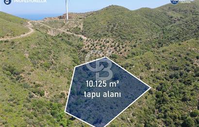 Karaburun Sarpıncık'ta 10.125 m² Tarla