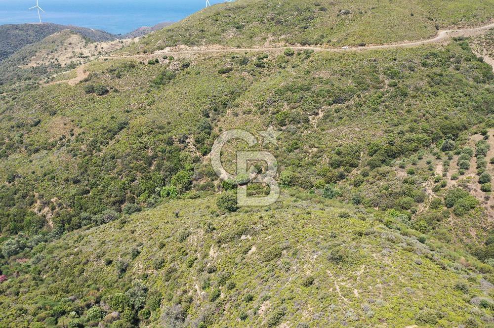 Karaburun Sarpıncık'ta 10.125 m² Tarla
