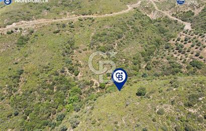 Karaburun Sarpıncık'ta 10.125 m² Tarla