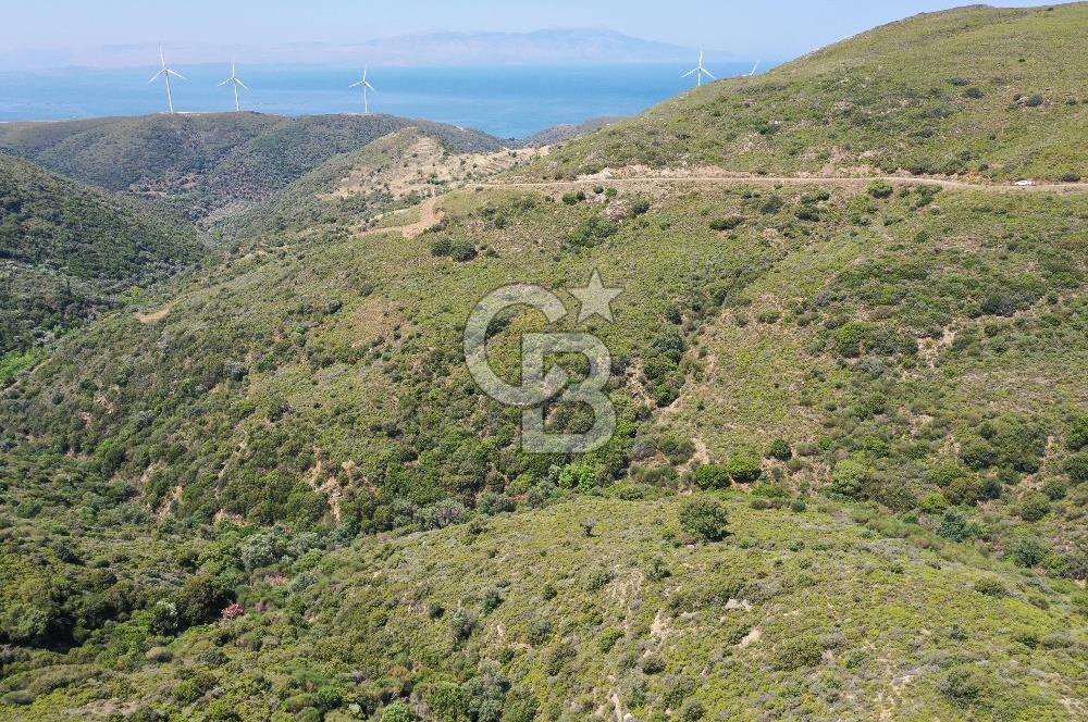 Karaburun Sarpıncık'ta 10.125 m² Tarla