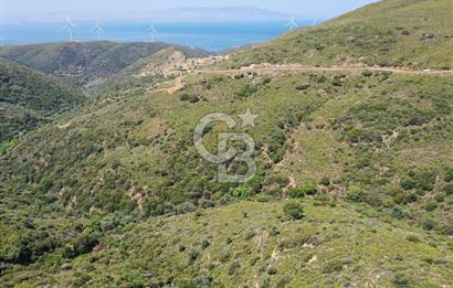 Karaburun Sarpıncık'ta 10.125 m² Tarla