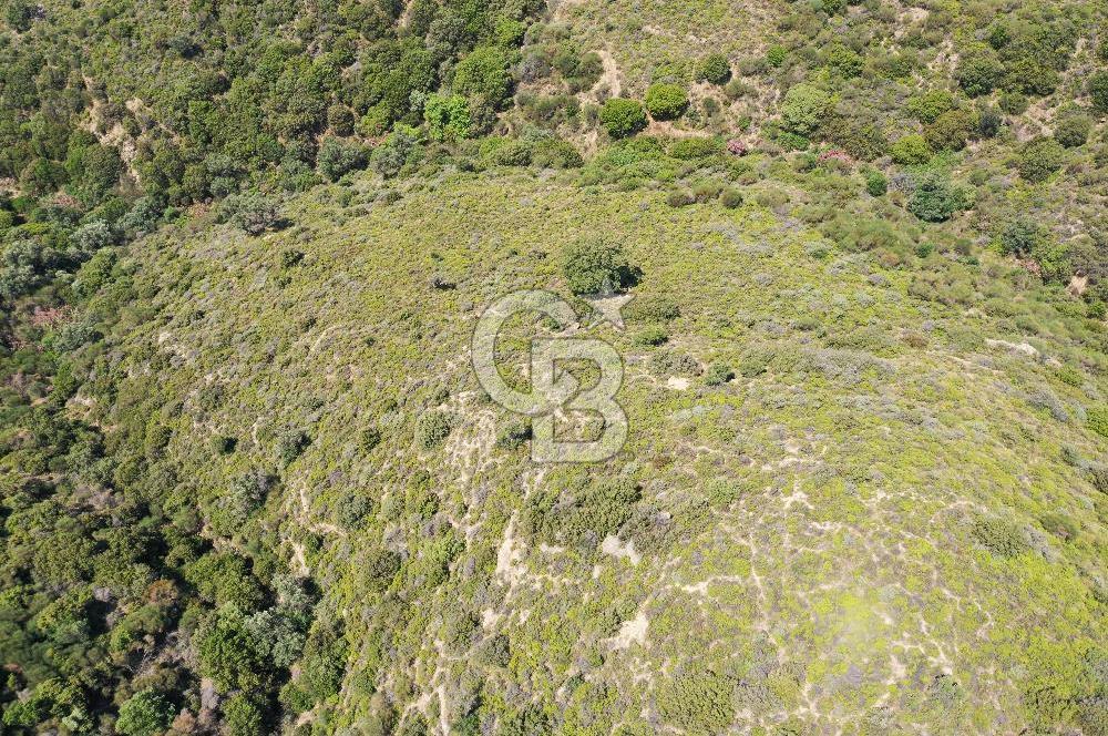 Karaburun Sarpıncık'ta 10.125 m² Tarla