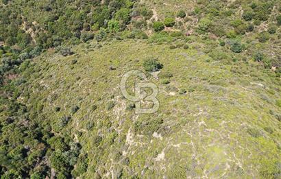 Karaburun Sarpıncık'ta 10.125 m² Tarla