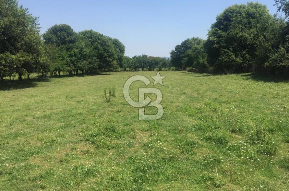 Kocaeli Kartepe Sarımeşede İmarlı Villa Arsası