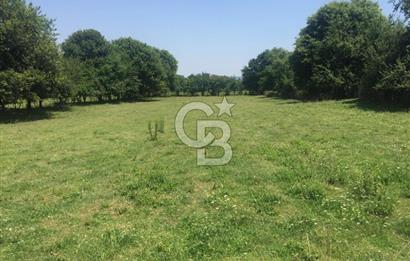 Kocaeli Kartepe Sarımeşede İmarlı Villa Arsası