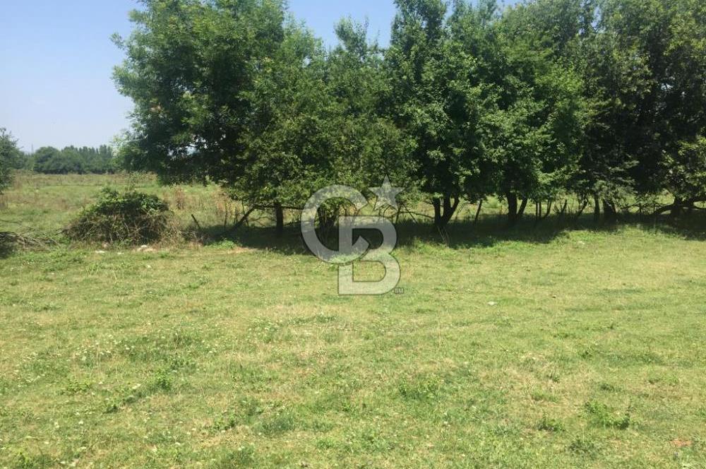 Kocaeli Kartepe Sarımeşede İmarlı Villa Arsası