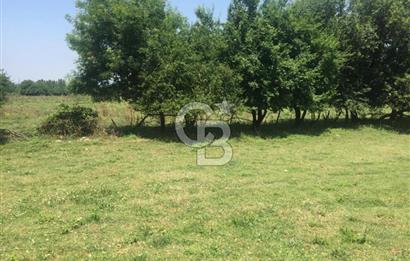 Kocaeli Kartepe Sarımeşede İmarlı Villa Arsası