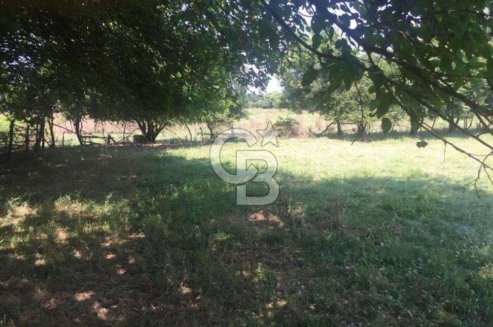 Kocaeli Kartepe Sarımeşede İmarlı Villa Arsası