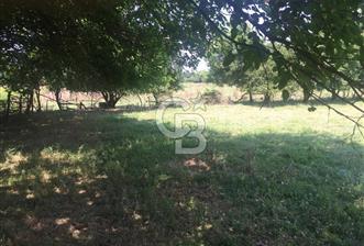 Kocaeli Kartepe Sarımeşede İmarlı Villa Arsası
