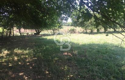 Kocaeli Kartepe Sarımeşede İmarlı Villa Arsası