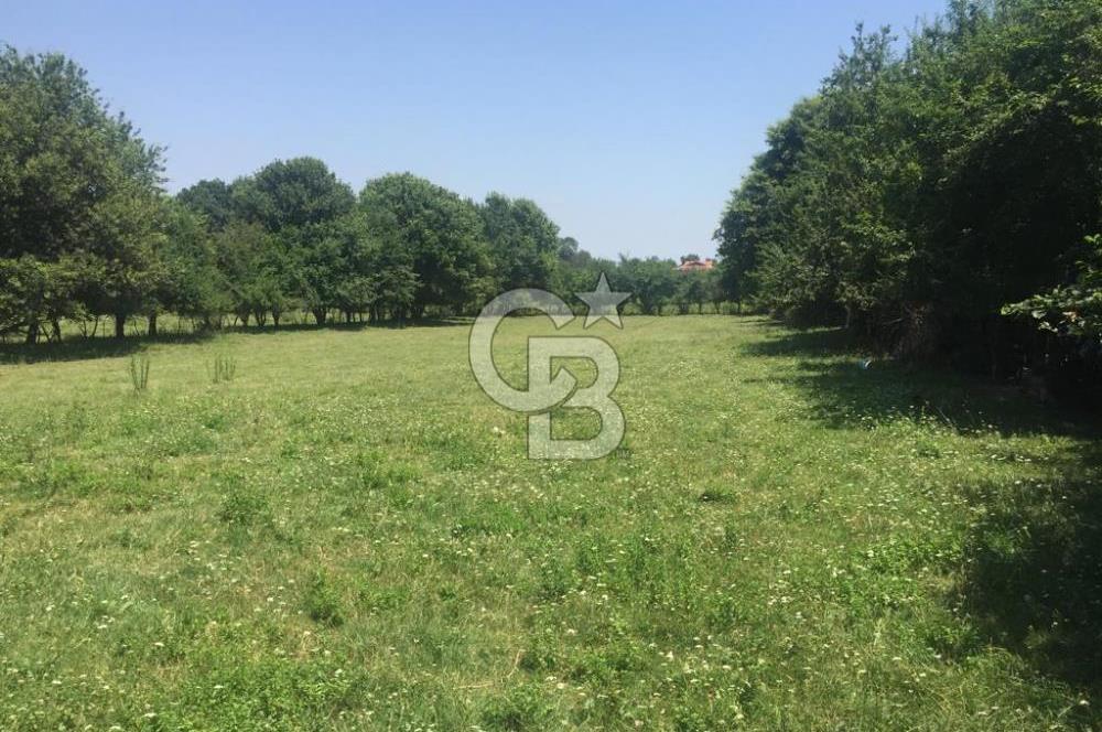 Kocaeli Kartepe Sarımeşede İmarlı Villa Arsası