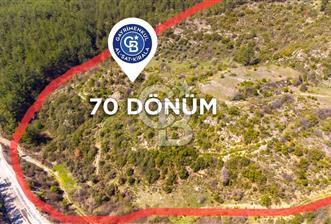 Muğla'da 70 Dönüm Eko Turizm Uygunluk Yazıları Alınmış Arazi