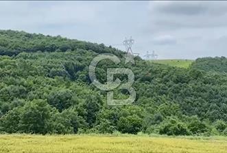 KANDIRA NEBİHOCALAR DA YATIRIMLIK 886 M2 TEK TAPU SATILIK TARLA