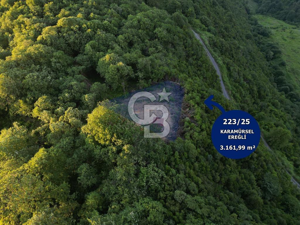 CB ATLAS'TAN KARAMÜRSEL EREĞLİ'DE SATILIK 3161.99 M² TARLA
