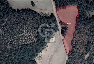 BİLECİK OSMANELİ AKÇAPINAR KÖYÜ SATILIK TARLA