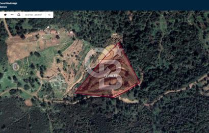 Seferihisar Doğanbeyde Göleti Olan Yatırımlık Satılık Arazi