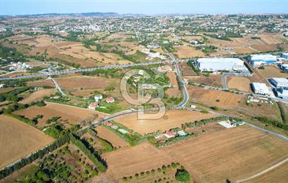 SİLİVRİ ORTAKÖY 6354m2 ANA YOLA CEPHELİ SATILIK VİLLA İMARLI