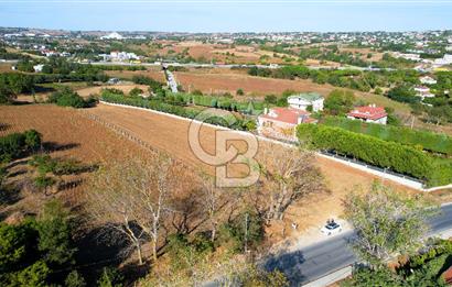 SİLİVRİ ORTAKÖY 6354m2 ANA YOLA CEPHELİ SATILIK VİLLA İMARLI