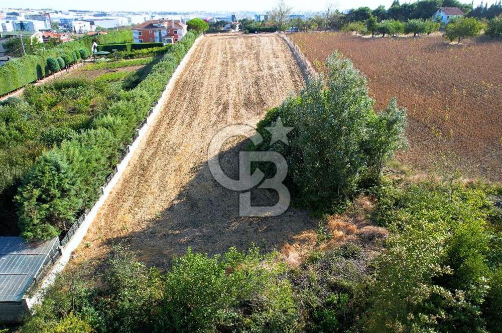 SİLİVRİ ORTAKÖY 6354m2 ANA YOLA CEPHELİ SATILIK VİLLA İMARLI