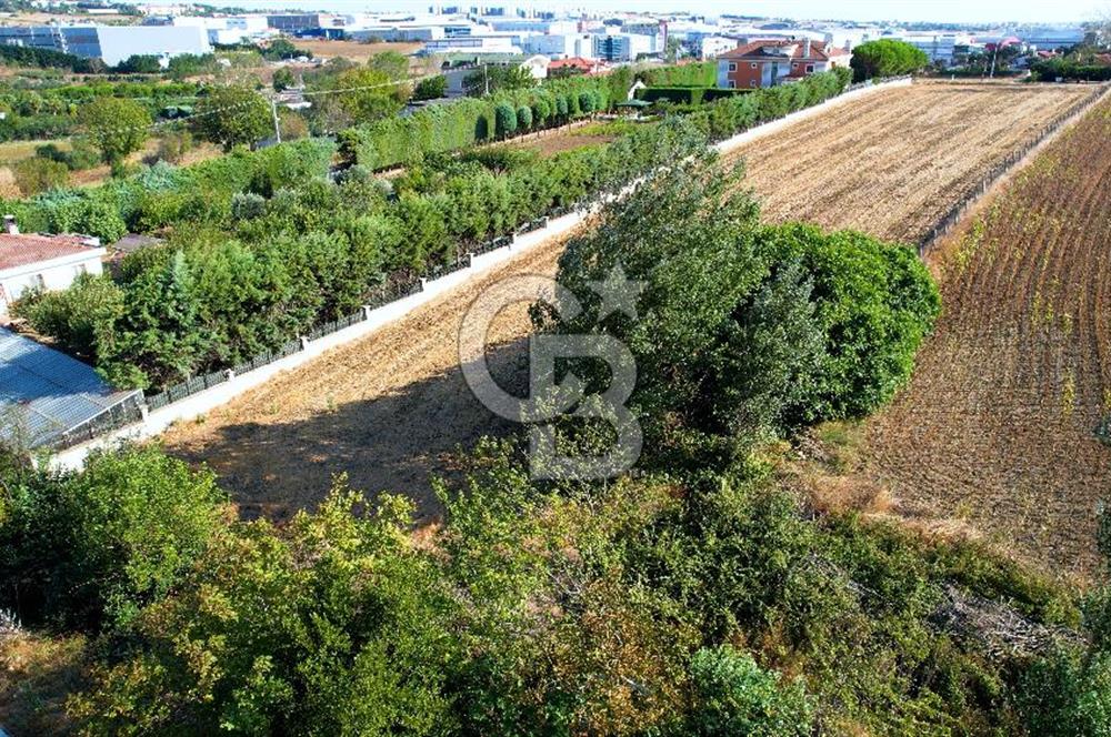 SİLİVRİ ORTAKÖY 6354m2 ANA YOLA CEPHELİ SATILIK VİLLA İMARLI