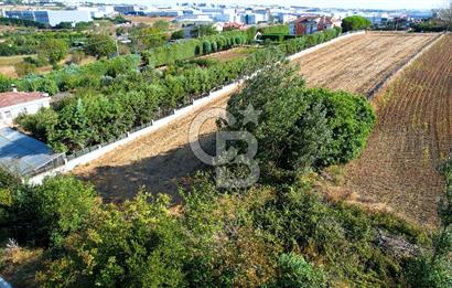 SİLİVRİ ORTAKÖY 6354m2 ANA YOLA CEPHELİ SATILIK VİLLA İMARLI