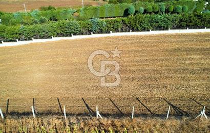 SİLİVRİ ORTAKÖY 6354m2 ANA YOLA CEPHELİ SATILIK VİLLA İMARLI