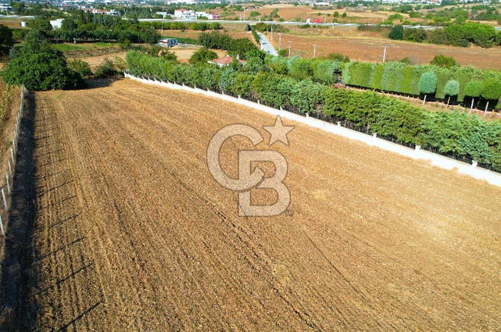 SİLİVRİ ORTAKÖY 6354m2 ANA YOLA CEPHELİ SATILIK VİLLA İMARLI