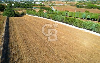 SİLİVRİ ORTAKÖY 6354m2 ANA YOLA CEPHELİ SATILIK VİLLA İMARLI