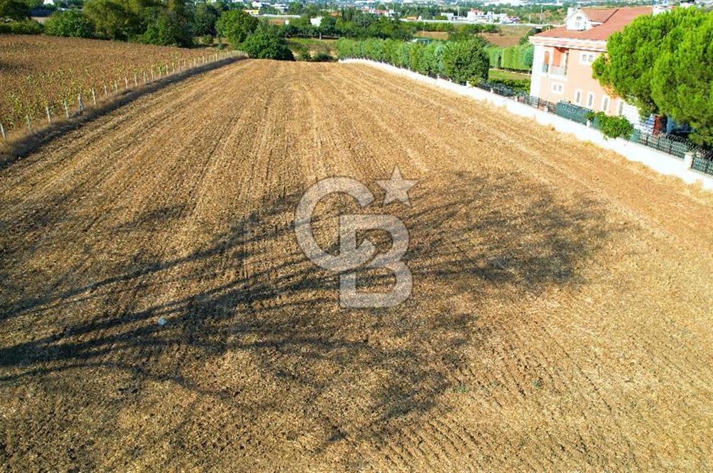 SİLİVRİ ORTAKÖY 6354m2 ANA YOLA CEPHELİ SATILIK VİLLA İMARLI