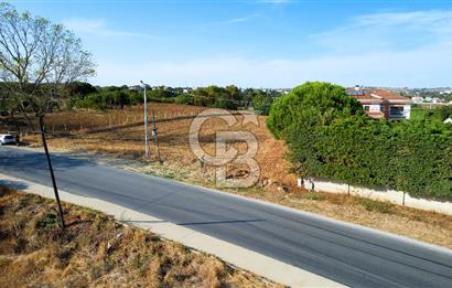 SİLİVRİ ORTAKÖY 6354m2 ANA YOLA CEPHELİ SATILIK VİLLA İMARLI