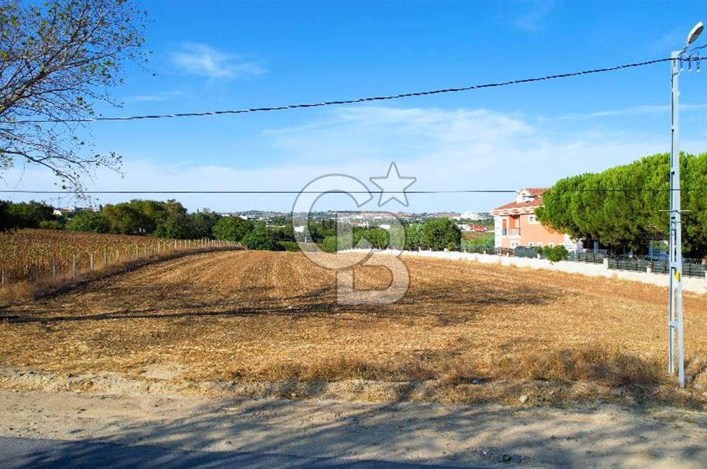SİLİVRİ ORTAKÖY 6354m2 ANA YOLA CEPHELİ SATILIK VİLLA İMARLI