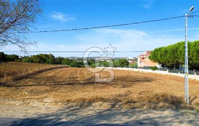 SİLİVRİ ORTAKÖY 6354m2 ANA YOLA CEPHELİ SATILIK VİLLA İMARLI