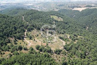 Kemalpaşa Ulucak Mahallesinde Satılık 2+1 Daire - 1 - 162528