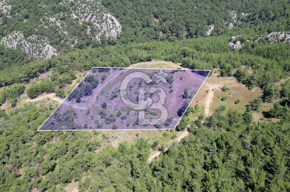 Kemalpaşa Ulucak Mahallesinde Satılık 2+1 Daire