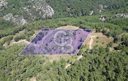 Kemalpaşa Ulucak Mahallesinde Satılık 2+1 Daire