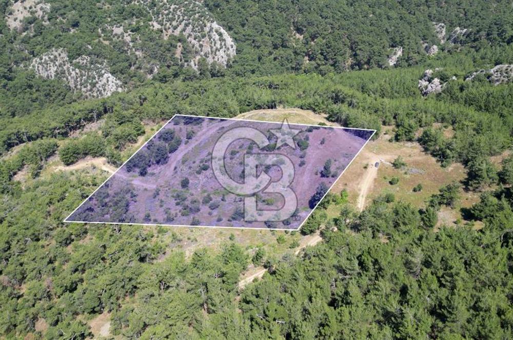 Kemalpaşa Ulucak Mahallesinde Satılık 2+1 Daire