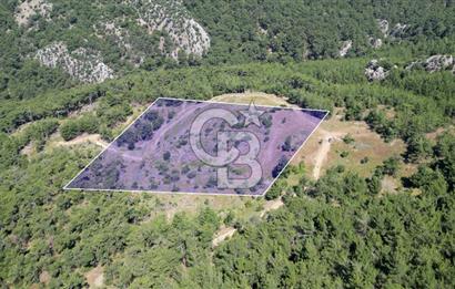 Kemalpaşa Ulucak Mahallesinde Satılık 2+1 Daire