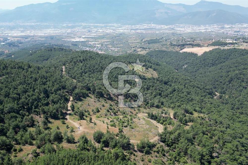 Kemalpaşa Ulucak Mahallesinde Satılık 2+1 Daire