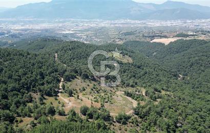 Kemalpaşa Ulucak Mahallesinde Satılık 2+1 Daire