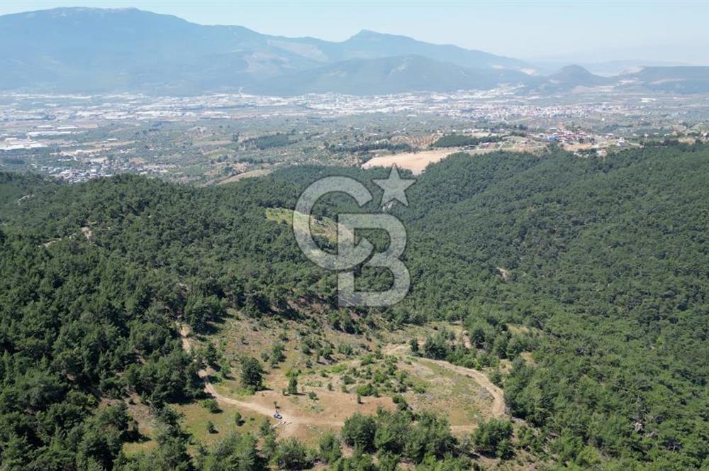 Kemalpaşa Ulucak Mahallesinde Satılık 2+1 Daire