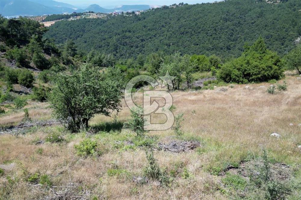 Kemalpaşa Ulucak Mahallesinde Satılık 2+1 Daire