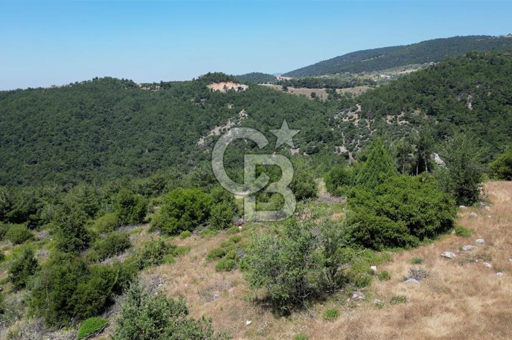 Kemalpaşa Ulucak Mahallesinde Satılık 2+1 Daire