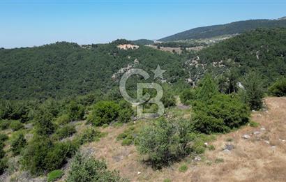 Kemalpaşa Ulucak Mahallesinde Satılık 2+1 Daire