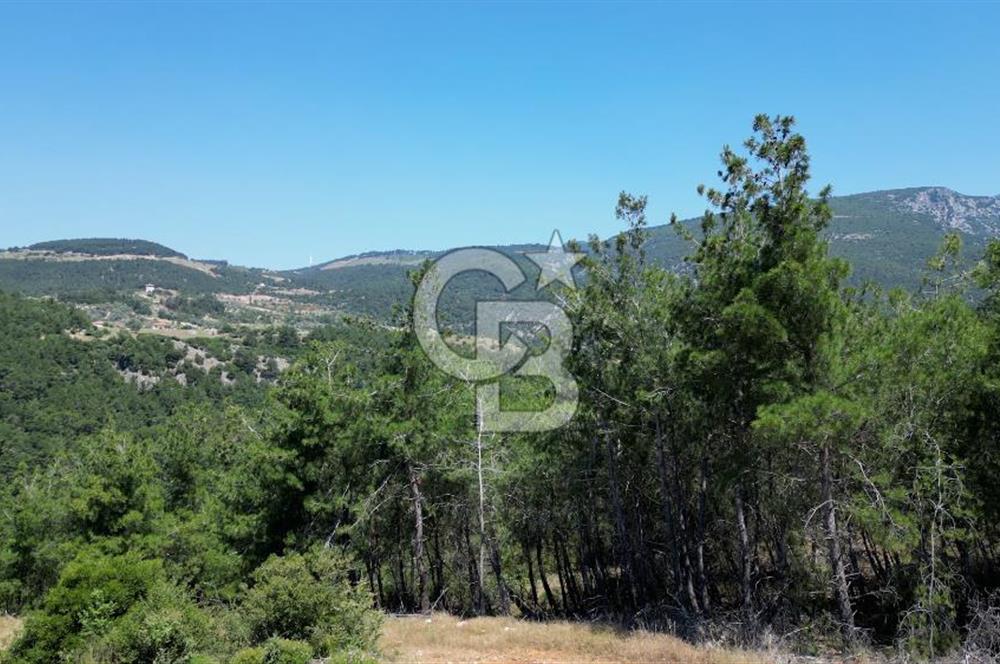 Kemalpaşa Ulucak Mahallesinde Satılık 2+1 Daire