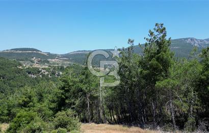 Kemalpaşa Ulucak Mahallesinde Satılık 2+1 Daire