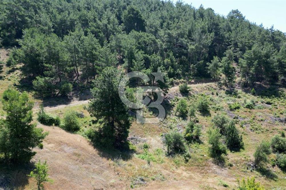 Kemalpaşa Ulucak Mahallesinde Satılık 2+1 Daire