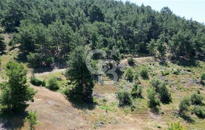 Kemalpaşa Ulucak Mahallesinde Satılık 2+1 Daire