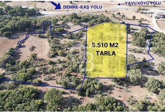 DEMRE YAVU'DA MUHTEŞEM KONUMLU 5.510 M2 SATILIK TARLA